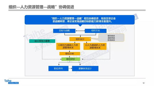 構建以網絡技術開發為驅動的人力資源管理體系，助力企業實現跨越式發展